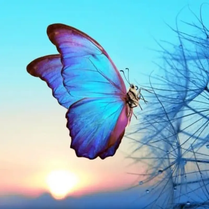 Cercle de méditation pour célébrer le printemps