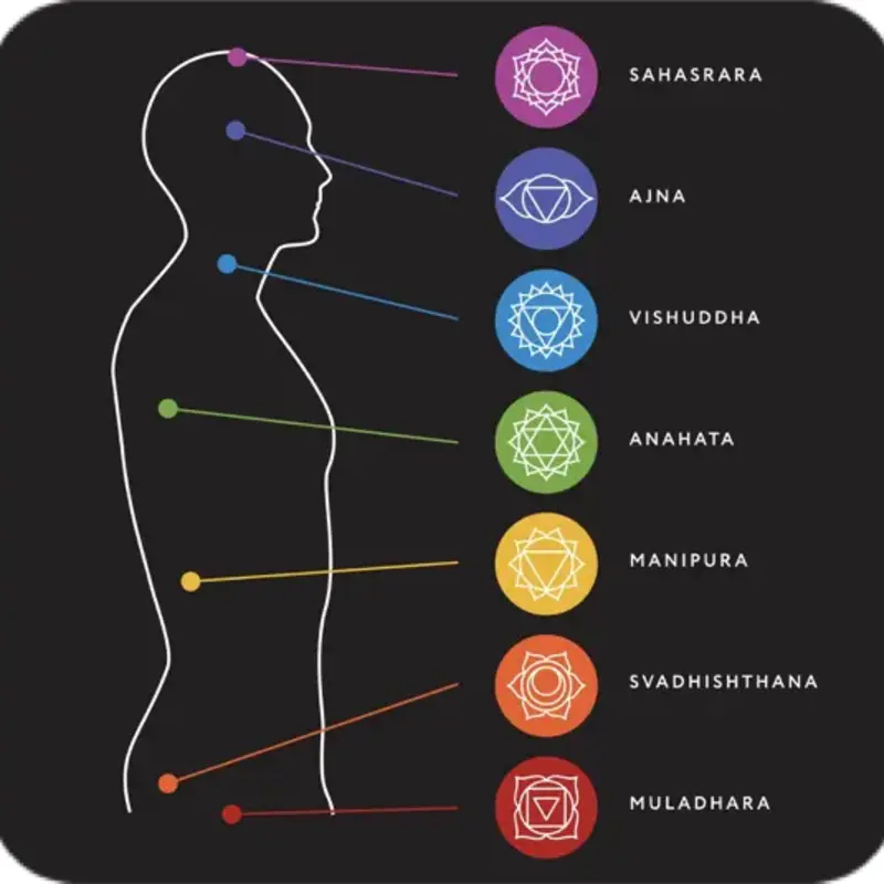 Elever sa conscience à travers les 7 chakras