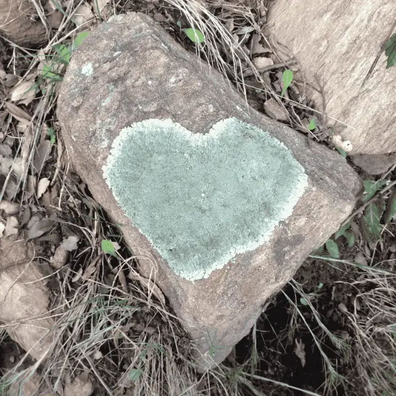 Céline Ottria - photo 2