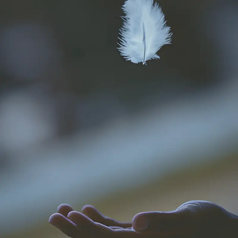 Lydwine Van der Hulst - photo 2