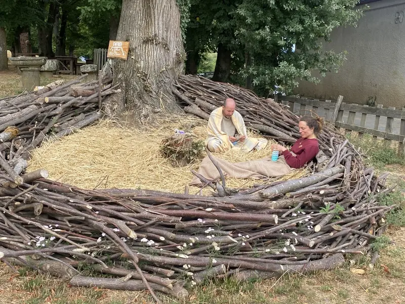 Flânerie dans le nid...